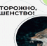 Бешенства можно избежать - Исетский район